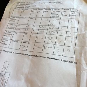 Meet your Posher, Hector